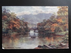 Ireland Kerry KILLARNEY Old Weir Bridge c1905 by Raphael Tuck 7260