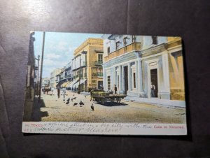 Mint Mexico Postcard A Typical Street View in Veracruz Yellow Fever Vultures