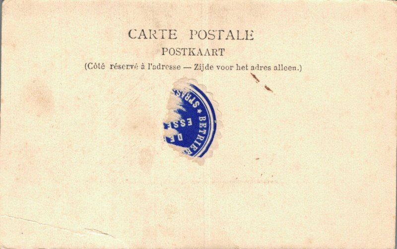 Victorian Lady Portrait Vintage Postcard B36