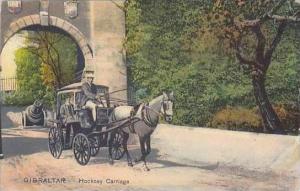 Gibraltar Hockney Carriage