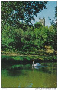 Central Park , MOOSE JAW , Saskatchewan , Canada ,50-60s