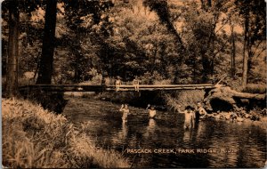 Vtg Pascack Creek Family Swimming Park Ridge New Jersey NJ Collotype Postcard