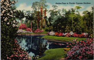 Florida Cypress Gardens Azalea Time