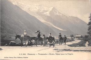 BG19373 chamonix promenade a mulets depart pour la flegere horse riding  france