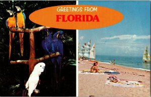 Greetings Florida Beach Parrorts Sailboat Dick Deutsch Vintage Postcard Banner 