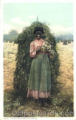 Polly in a Peanut Patch Black Blacks Postcard Post Card  Polly in a Peanut Patch