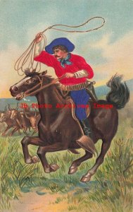 Western Cowboy with Silk Clothes, Cattle Roundup, Lassoing Cow