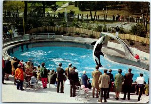 Postcard - Vancouver Public Aquarium, Stanley Park - Vancouver, Canada