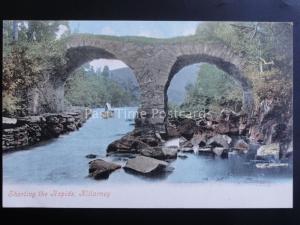 Ireland Kerry KILLARNEY SHOOTING THE RAPIDS c1903 by Valentine