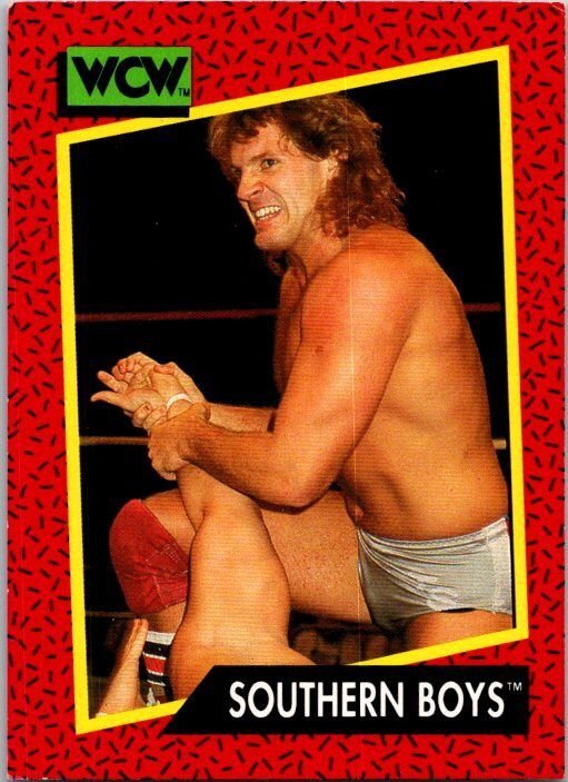 1991 WCW Wrestling Card Southern Boys Steve Armstrong Tracy Smothers sk21228