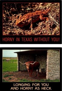 2~4X6 Comic/Humor Postcards TX, Texas HORNY AS HECK WITHOUT YOU Lizard~Longhorn