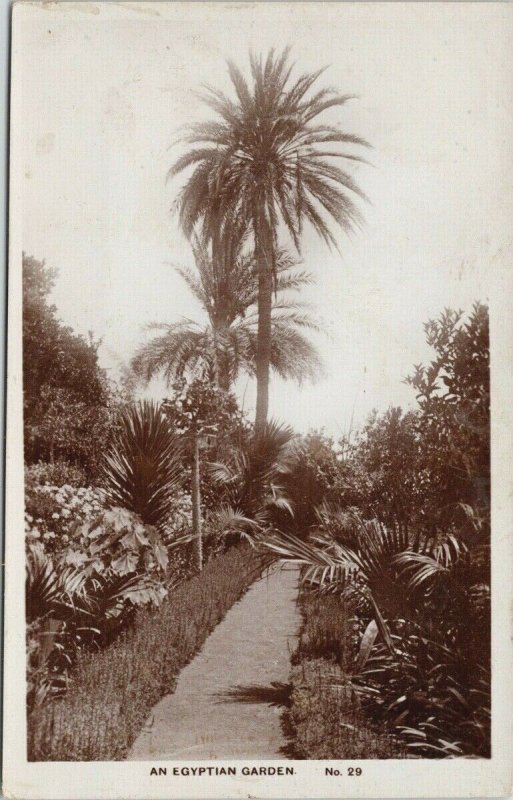 An Egyptian Garden No 29 Egypt Unused Lilywhite Real Photo Postcard F77