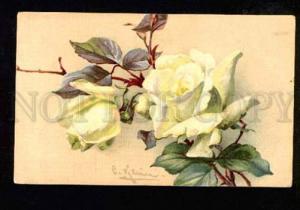 3051440 White ROSES by KLEIN old WWI 1916 y MILITARY FELD POST