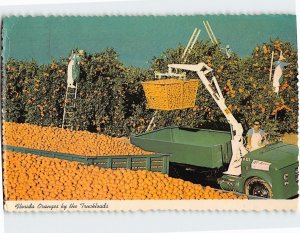 Postcard Florida Oranges by the Truckloads Florida USA
