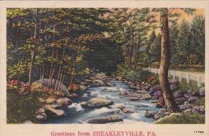 Pennsylvania Greetings From Sheakleyville