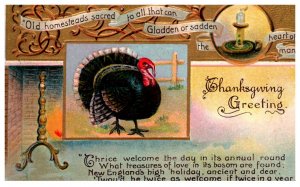 Thanksgiving  Turkey, Poem