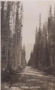 Snow Peak Avenue Canada Canadian Antique Postcard