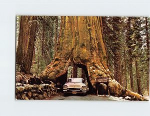 Postcard Wawona Tree, Yosemite National Park, California
