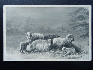 Country Life 5 x FARM YARD ANIMALS c1904 Postcard by Hildesheimer 5234