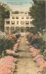 Hand Colored Boxwood Manor Garden Path OLD LYME, CT Albertype postcard 17197