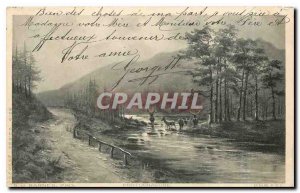 Old Postcard Barnes Pinx Deer