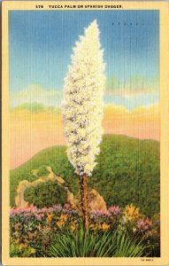 Vtg 1940s Yucca Palm or Spanish Dagger Linen Postcard