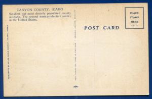 Canyon County Idaho id large letter letters linen postcard