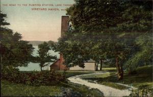 Vineyard Haven Martha's Vineyard MA Road to Pumping Station c1910 Postcard