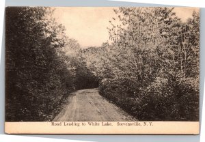 Postcard NY Stevensville - Road Leading to White Lake