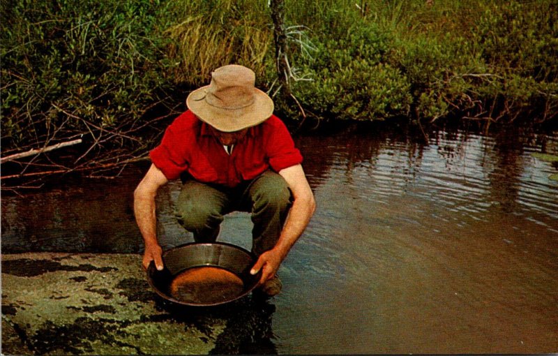 Canada British Columbia Panning For Gold