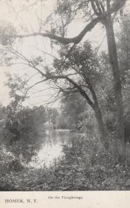 View On the Tioughnioga River - Homer NY, New York - UDB