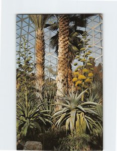 Postcard Century plants Mitchell Park Horticultural Conservatory Wisconsin USA