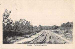 Havelte Netherlands Aan den Boschrand Scenic View Antique Postcard J80291