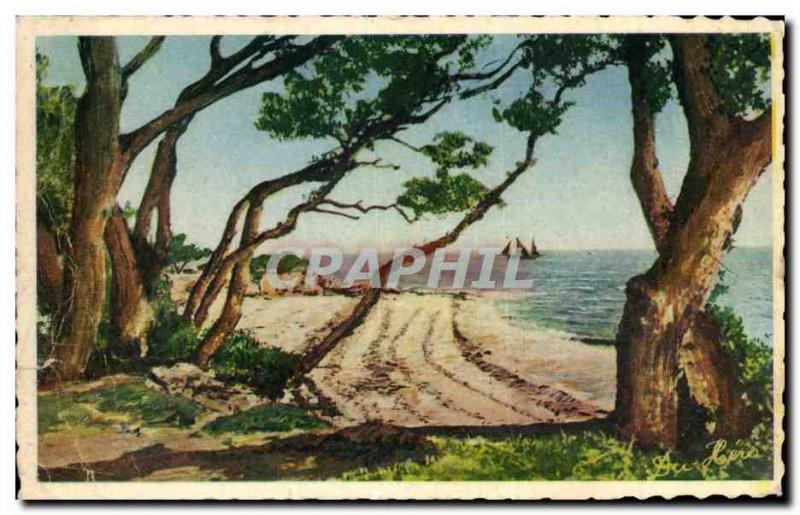 Old Postcard Noirmoutier Bois de la Chaize