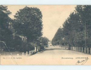 1905 postcard STREET VIEW Apeldoorn - Gelderland Netherlands F5164