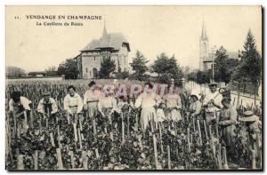 Old Postcard Folklore Harvest Vine Champagne grape harvest