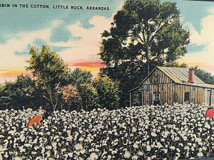 Postcard  Cabin in the Cotton, Little Rock, Arkansas.    T2