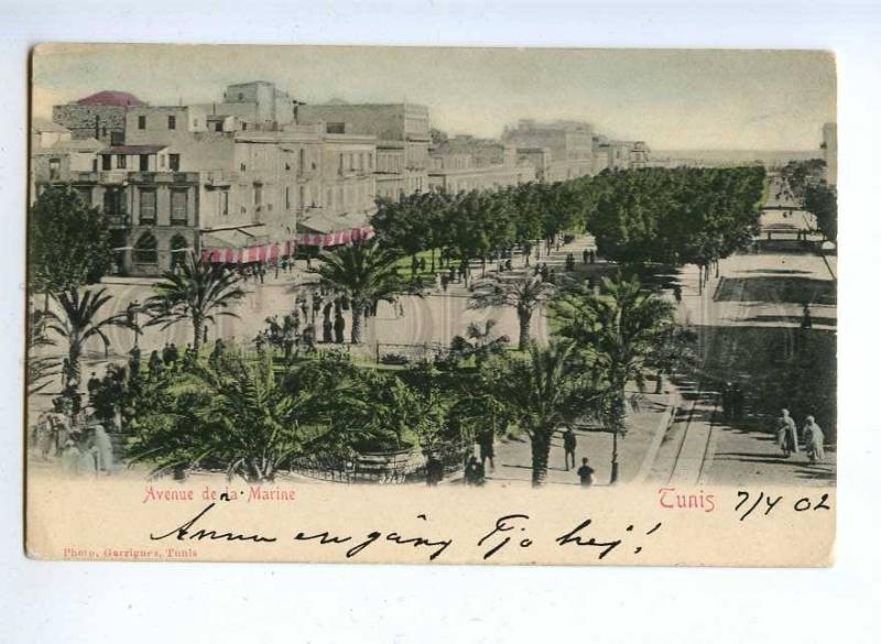 192432 TUNIS avenue de la Marine Vintage RPPC 1902 year