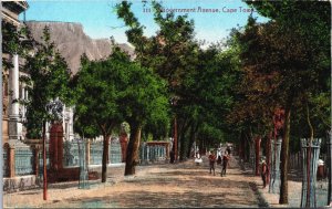 South Africa Government Avenue Cape Town Vintage Postcard C038