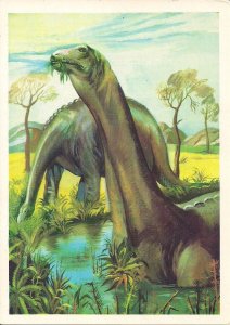DINOSAUR, Brontosaurus, Russian Fact Card, Prehistoric Animal, 1983 USSR Russia