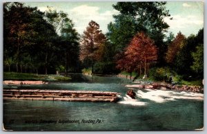 Vtg Reading Pennsylvania PA Wertz's Dam Along Tulpehocken Creek 1909 Postcard