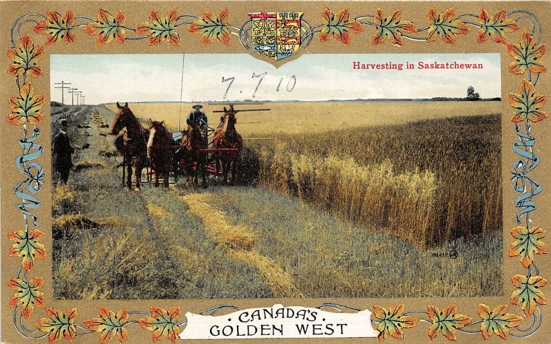 br105755 harevsting in saskatchewan canada golden west