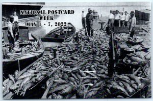 Postcard - Once a Largest Fresh-Water Fishing Port, Sandusky, Ohio, USA