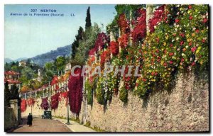 Old Postcard Menton Avenue of the Border