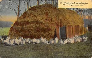 We all scratch for the Farmer Chicken Unused 