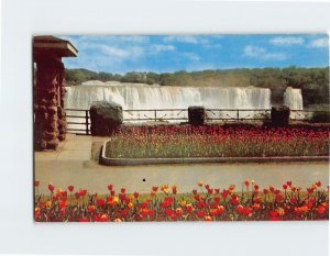 Postcard Tulip Time At Niagara Falls, Canada