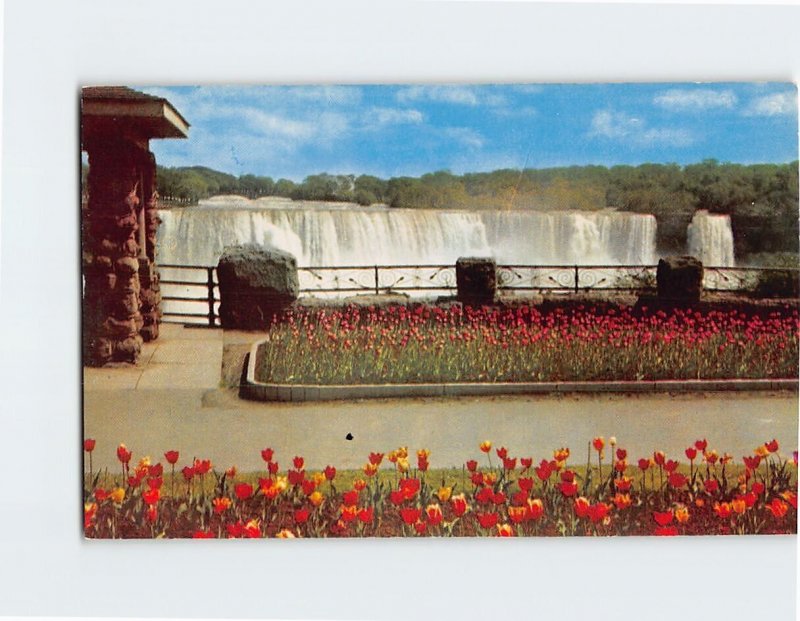 Postcard Tulip Time At Niagara Falls, Canada