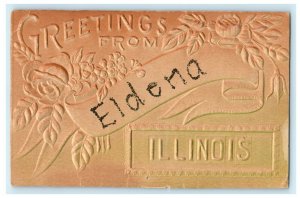 Eldena Illinois 1909 Greeting Glitter Embossed Vintage Antique Postcard 