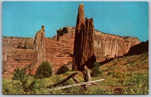 Vtg Chinle Arizona AZ Spider & Speaking Rock Canyon De Chelly Postcard