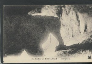 France Postcard - Grottes De Betharram - L'Elephant   T9149